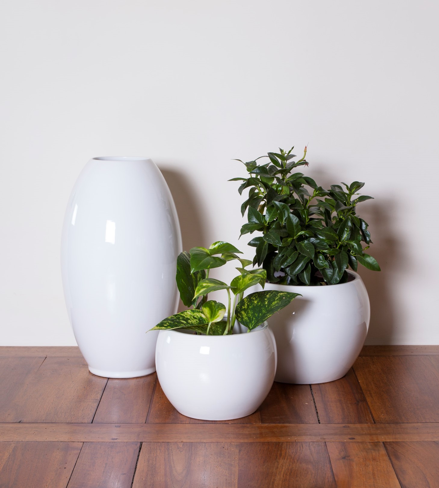 Vaso da Interno in Ceramica - Hesperantha - Florens - Grande